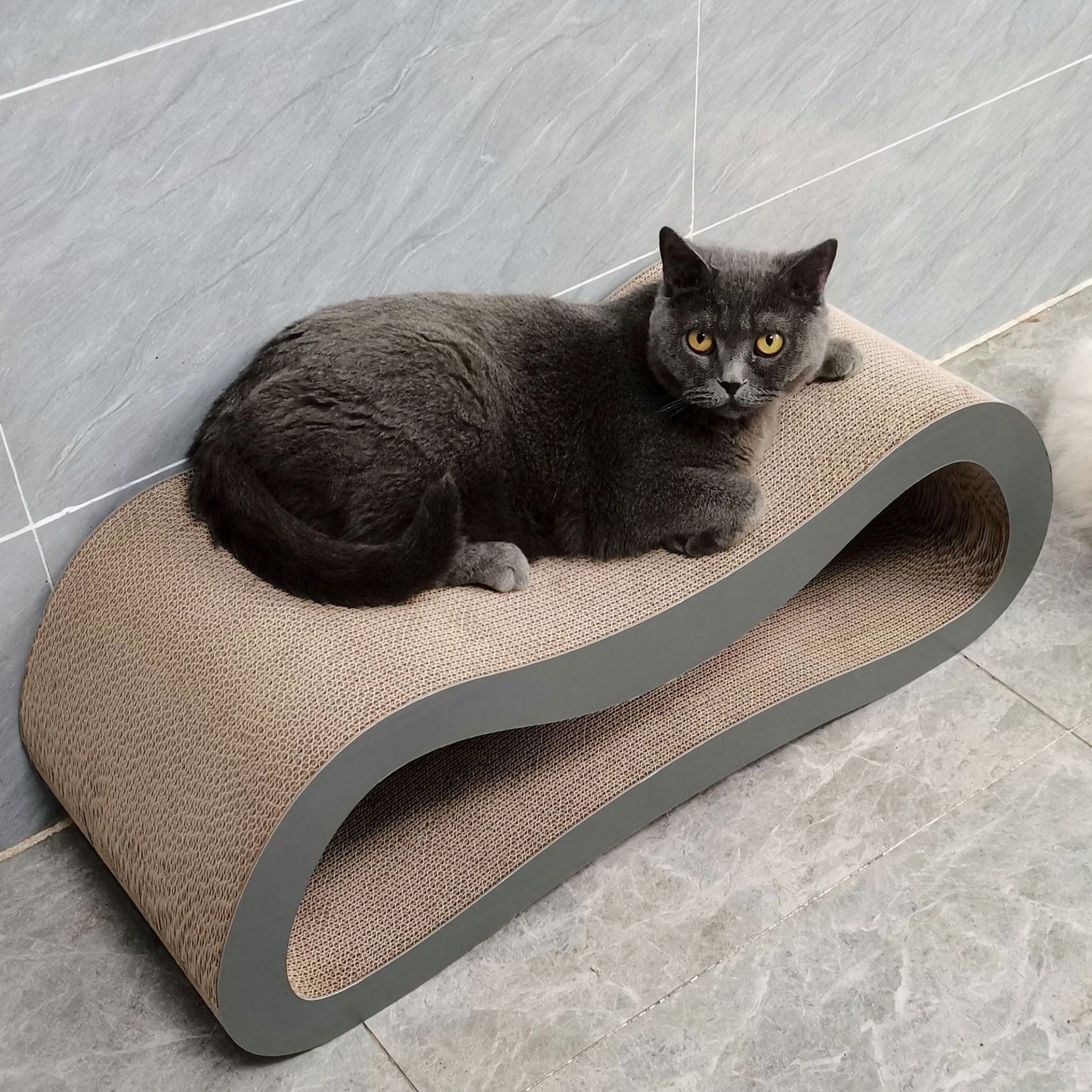 Cardboard Cat Bed