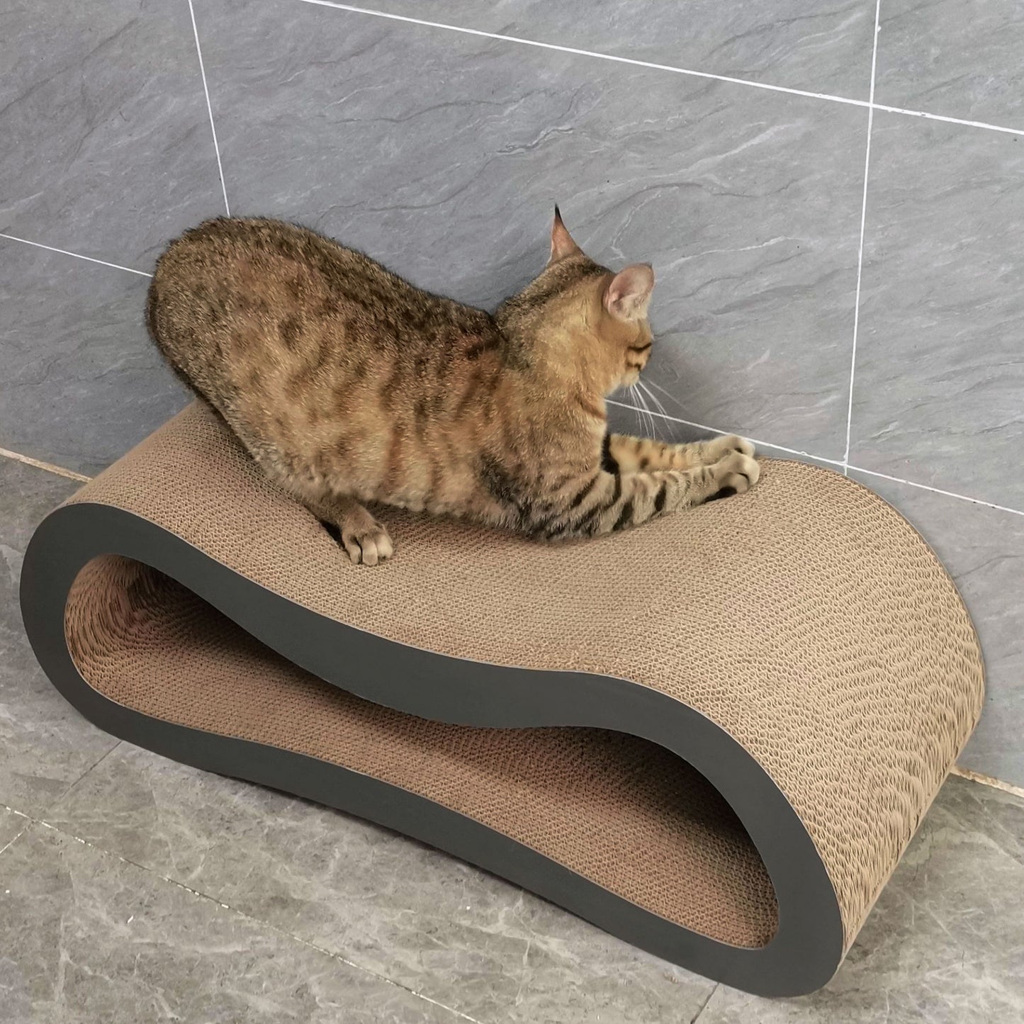 Cardboard Cat Bed