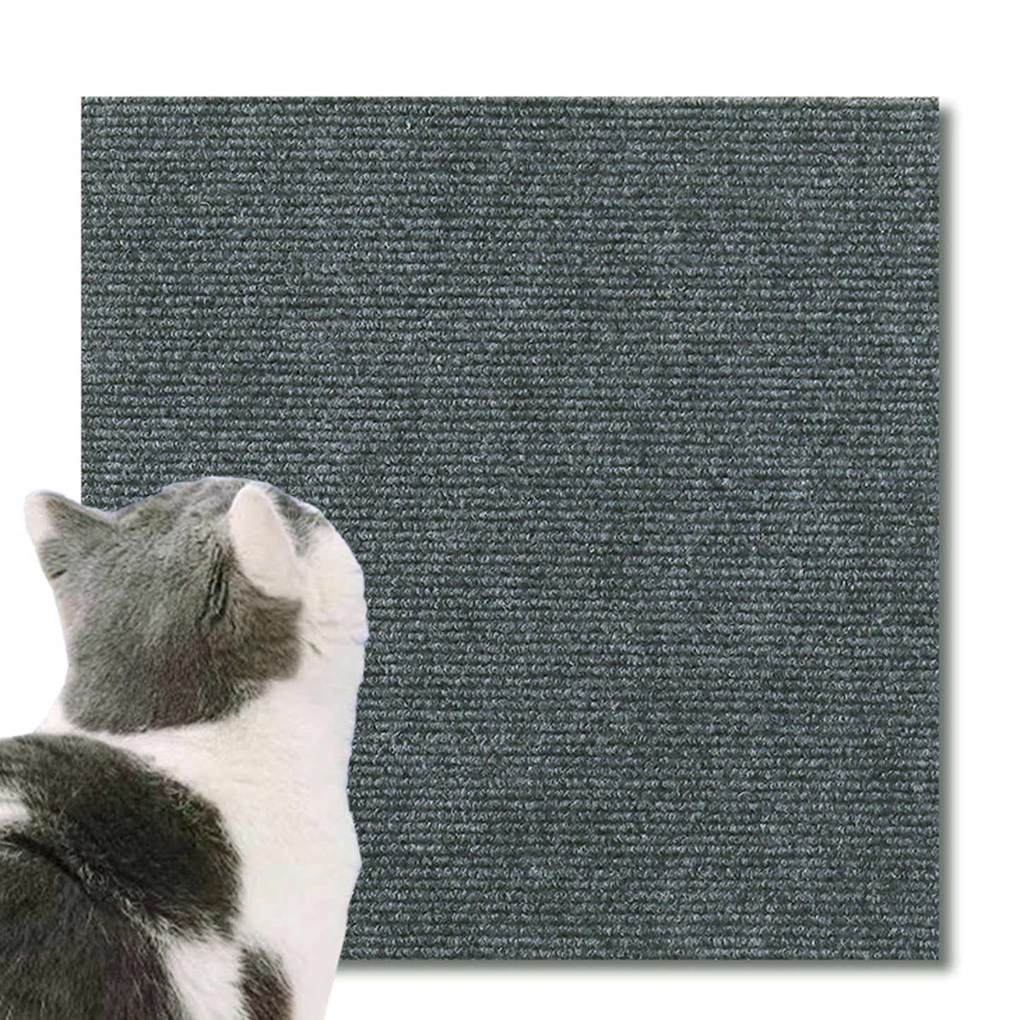 Cat Scratching Mat