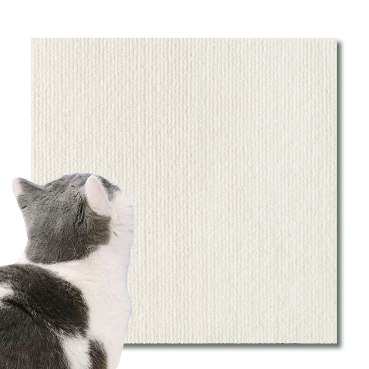 Cat Scratching Mat