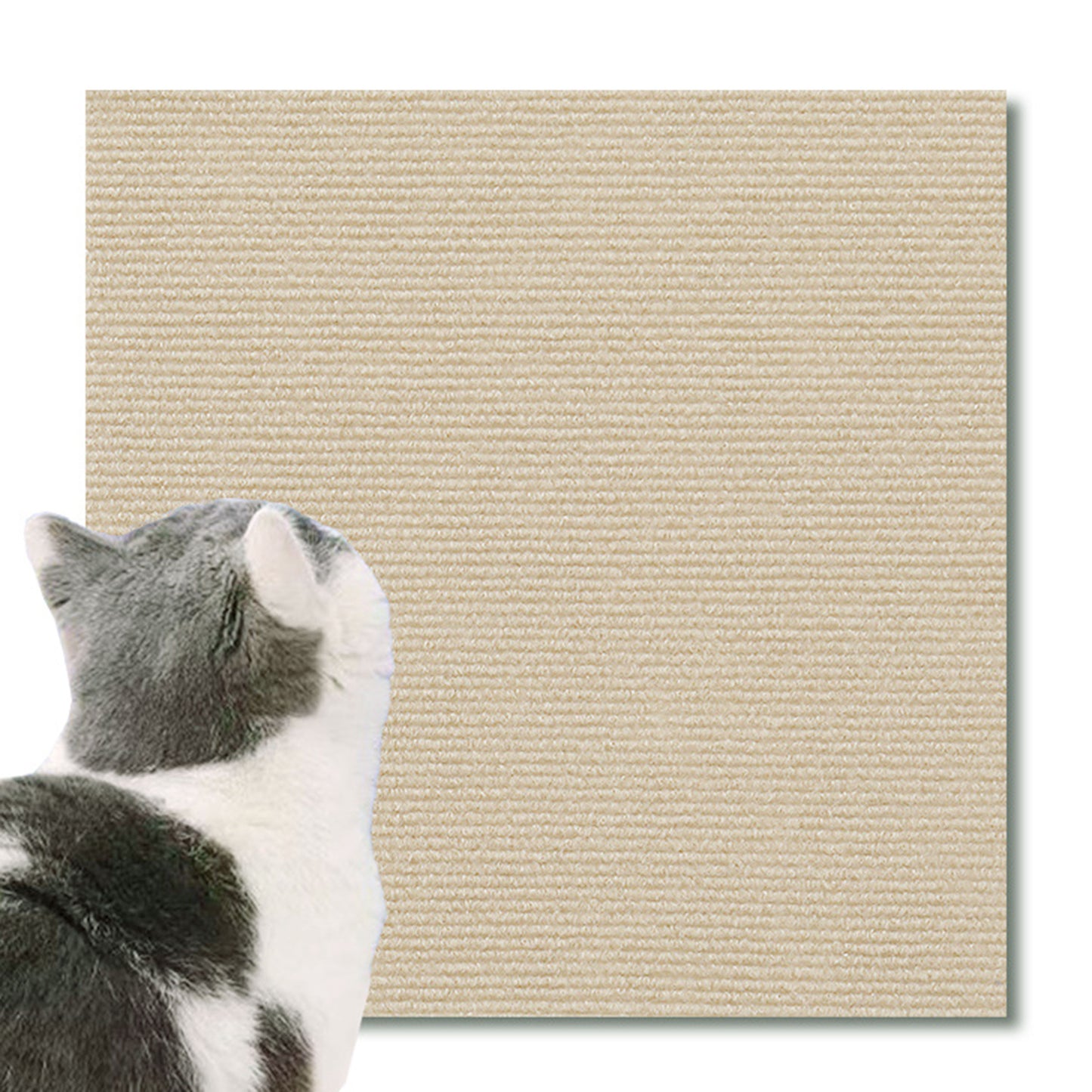 Cat Scratching Mat