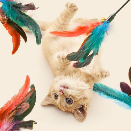 Cat Teaser Wand