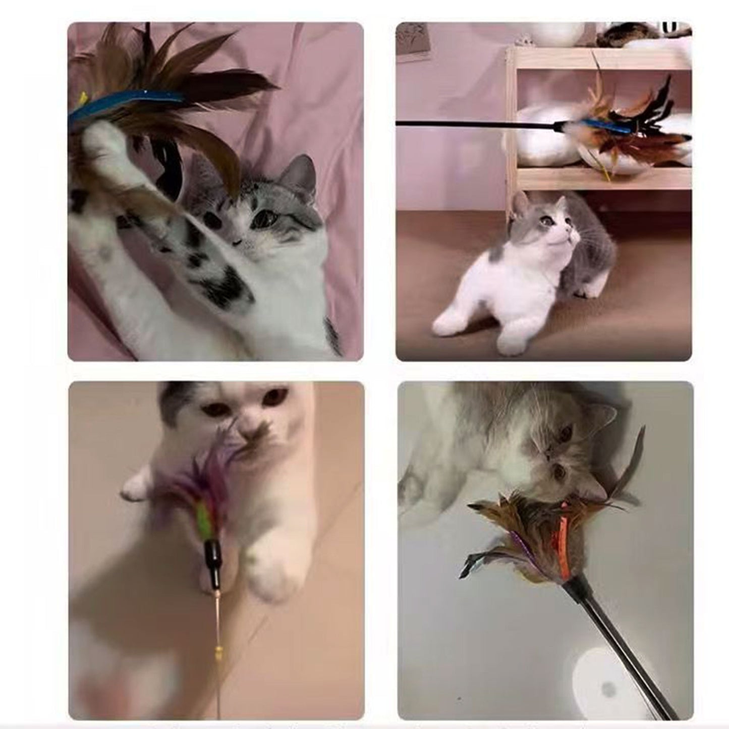 Cat Teaser Wand
